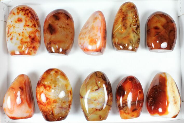 Lot: - Cut Base Polished Carnelian - pieces #91489